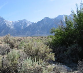 View west from Hogback Creek