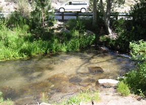 Lower Rock Creek