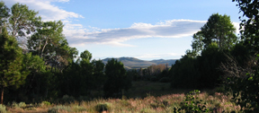 East Walker River looking south