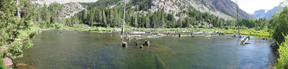 Beaver pond above Lundy Lake