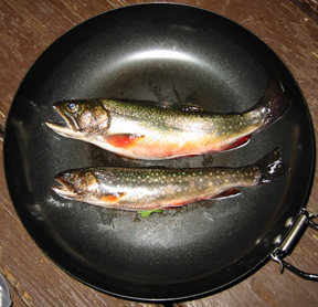 Frying fish