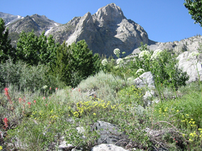 View toward second falls