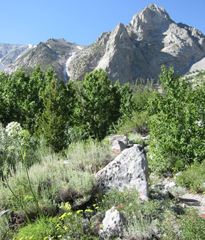 View toward second falls.