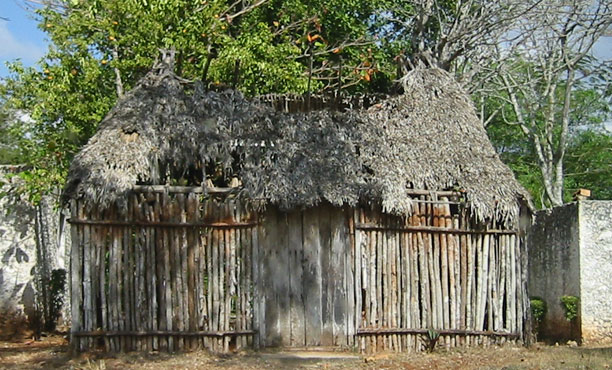 Maya hut