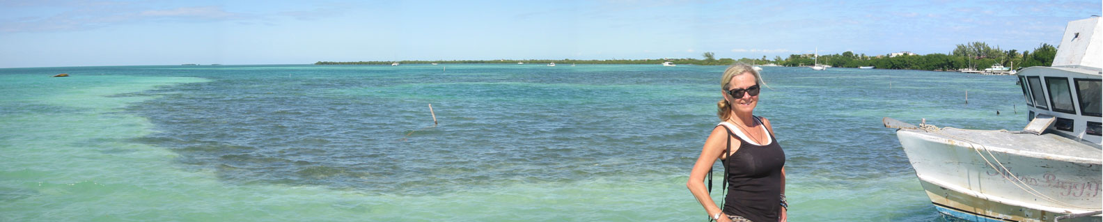West side taxi pier panorama looking north