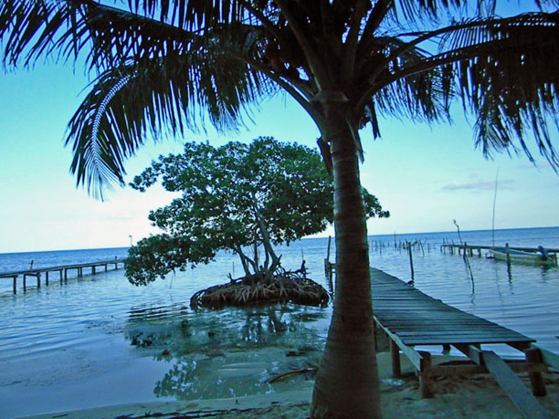Perspectve beach