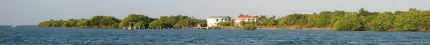Caye Caulker from water taxi