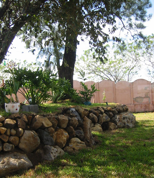 Backyard of Carlos