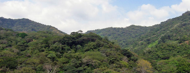 Jungles are more hilly here than in Belize