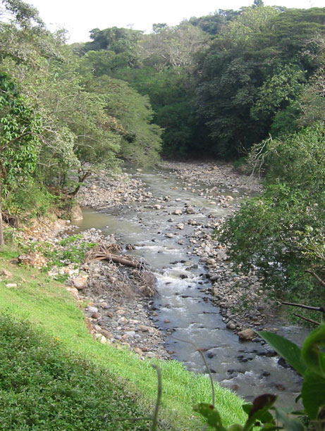 View of river from terrace