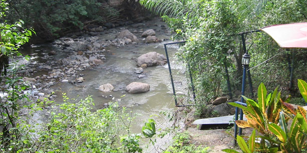 View of river from bottom of trail