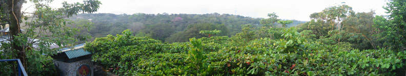 View from upper floor balcony the next morning