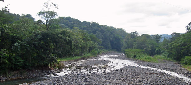 Stream
