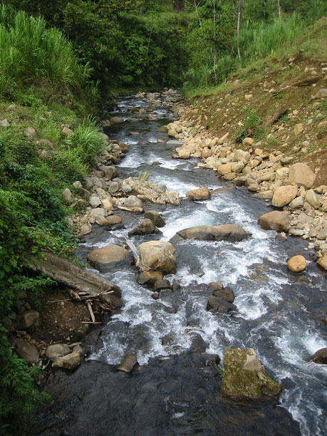 Stream