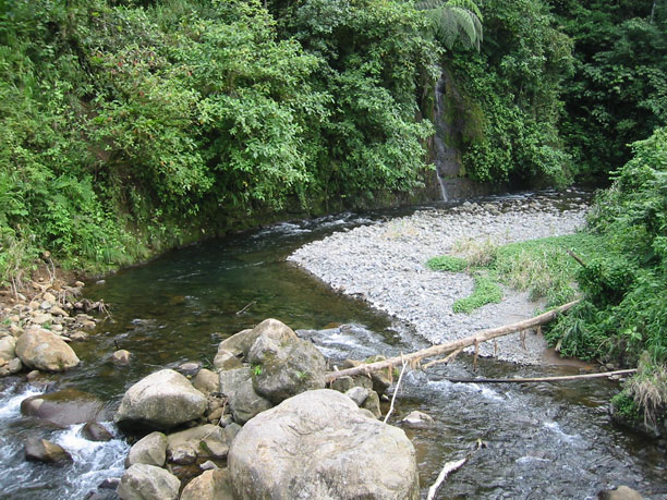 Stream