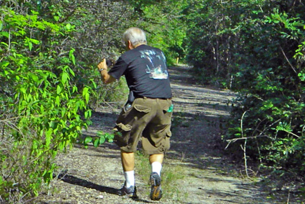 Bill chasing flutterby