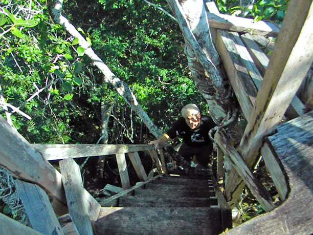 Bill asending stairs