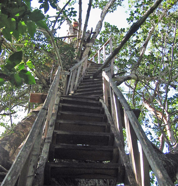 Mel on stairway top