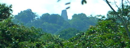 Temple