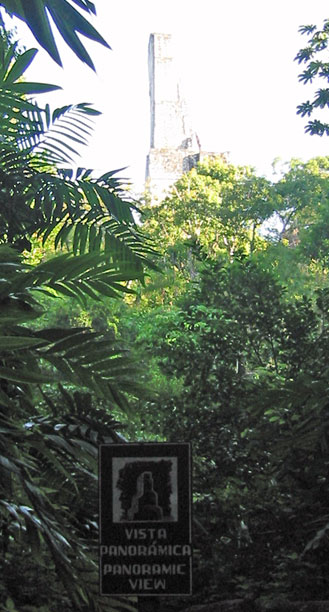 Twisted temple