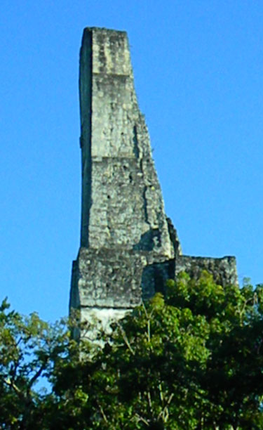 Twisted temple