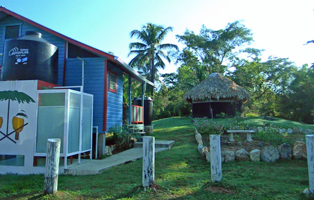 Cabin and library