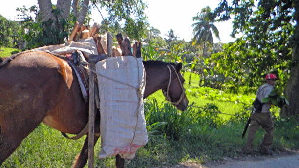 Local transportation on return to Lower Dover