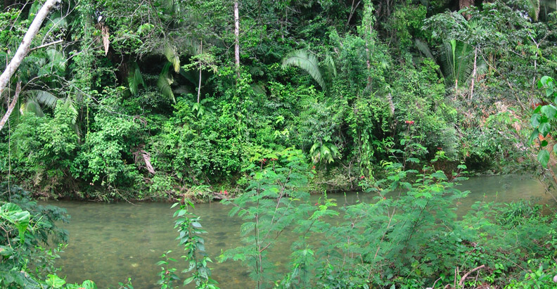 River panorama
