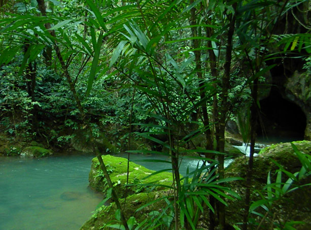 Cave river