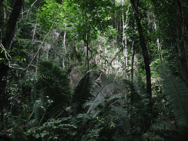 Cave rock face