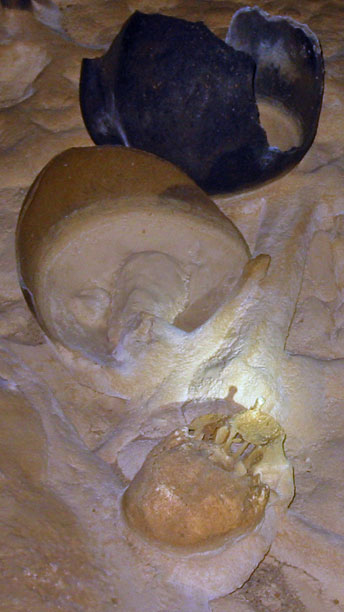 Skull