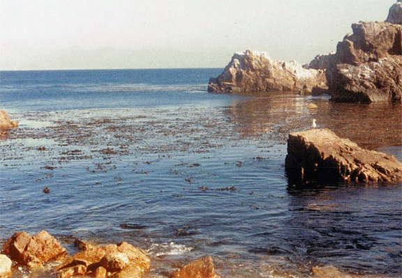 Todos Santos bay