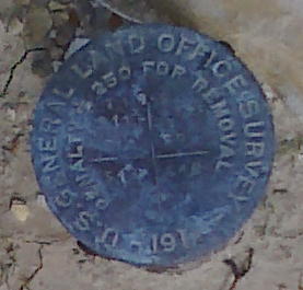 Geodesic marker